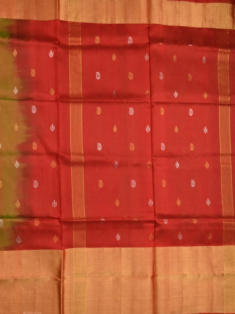 Uppada pattu saree olive green color allover zari motifs & long kaddi border with contrast pallu and contrast blouse