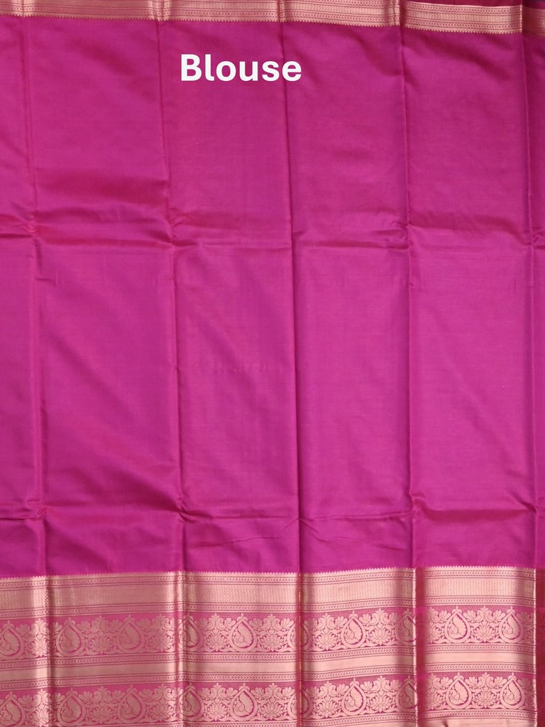 Banaras fancy saree sky blue color allover zari motifs & zari border with rich contrast pallu and plain blouse