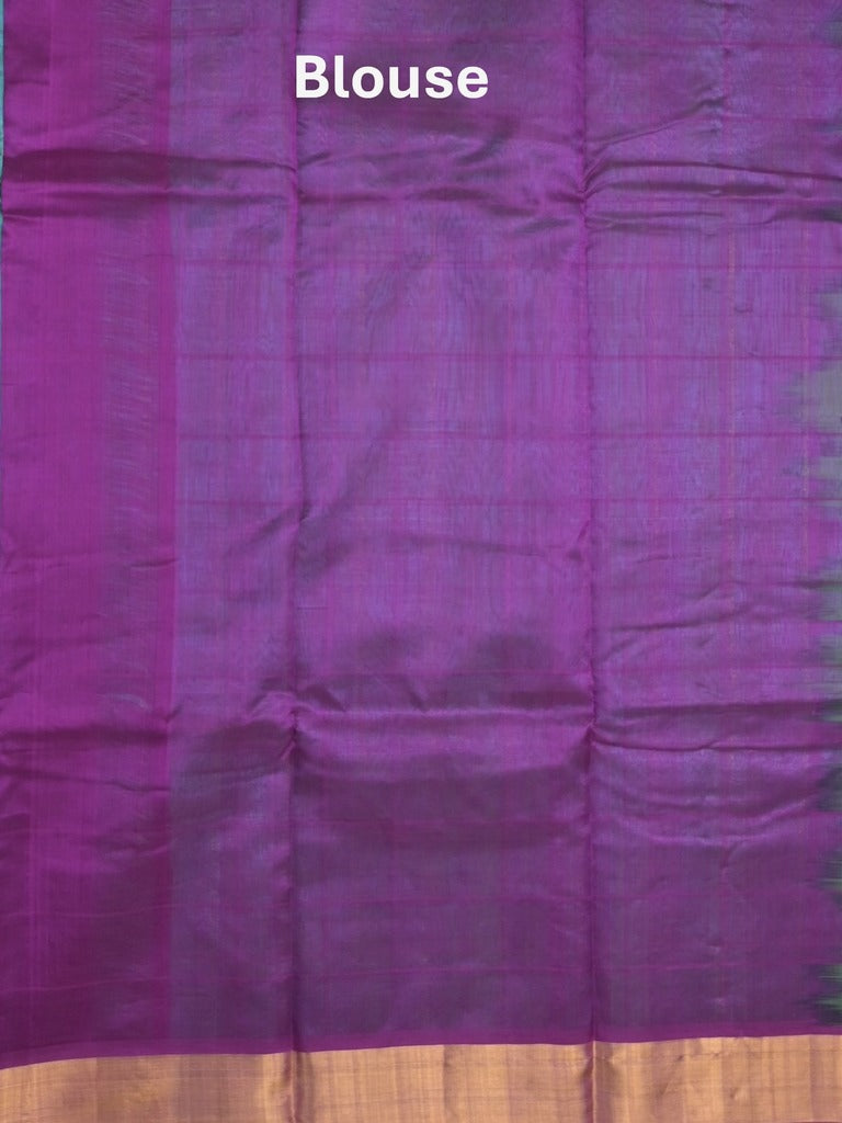 Uppada seiko pattu saree lux green color allover checks, motifs & zari border with contrast pallu and plain blouse