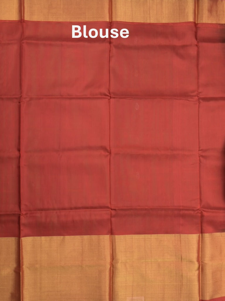 Uppada pattu saree olive green color allover zari motifs & long kaddi border with rich pallu and contrast plain blouse