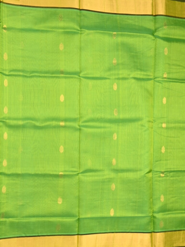 Uppada seiko pattu saree parrot green color allover zari motifs & kaddi border with zari contrast pallu and attached plain blouse
