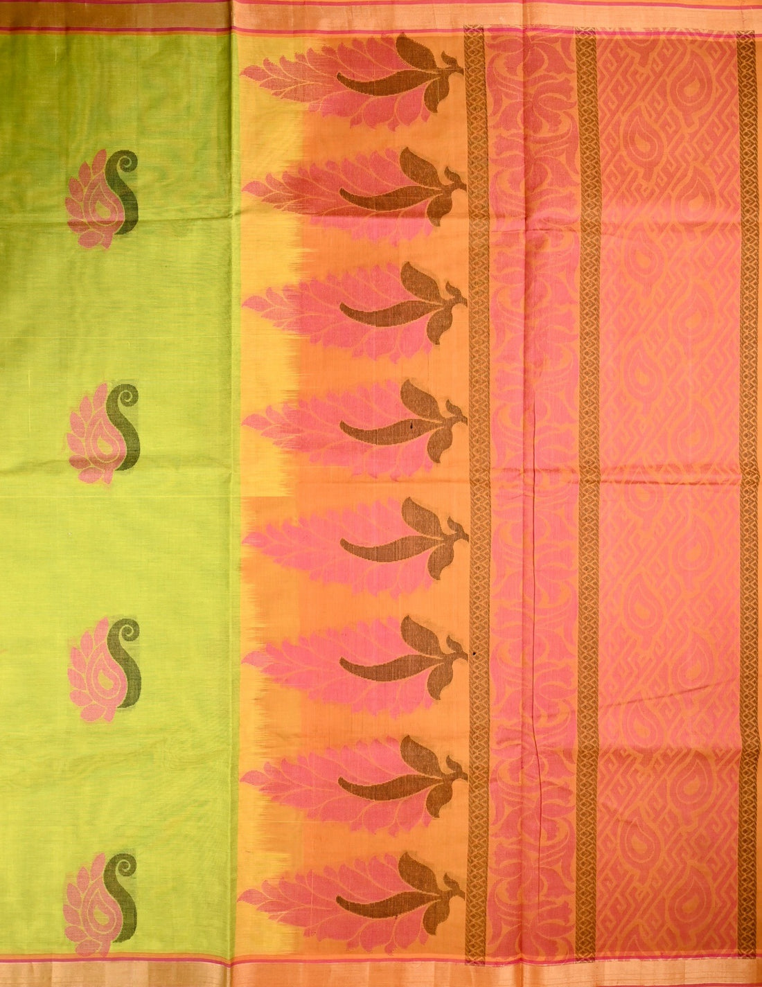 Kanchi cotton saree parrot green color with thread motive weaves, small zari border, contrast pallu and plain blouse.