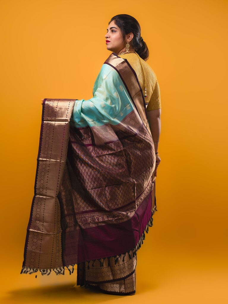 Pethambari pattu saree light blue color allover zari motifs & kanchi border with rich pallu and attached plain blouse