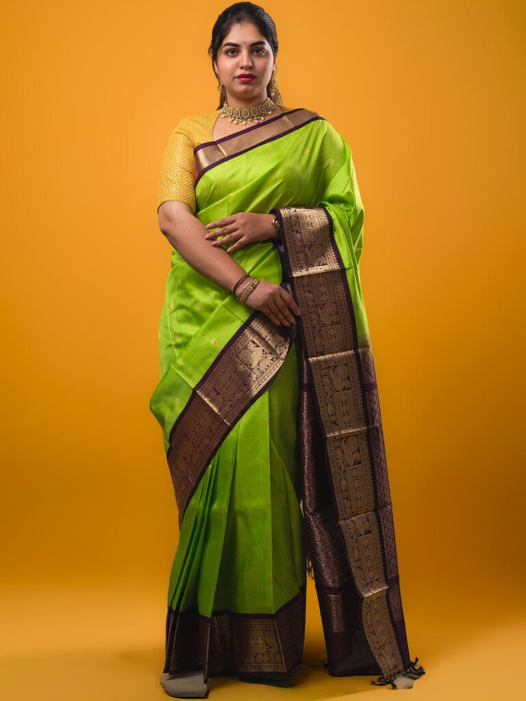 Pethambari pattu saree light parrot green color allover zari motifs & kanchi border with rich pallu and attached plain blouse