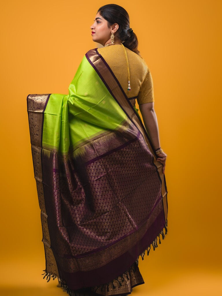 Pethambari pattu saree light parrot green color allover zari motifs & kanchi border with rich pallu and attached plain blouse