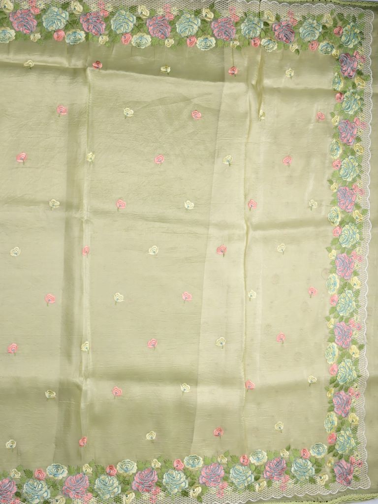 Soft organza fancy sarees light beige color allover floral motifs & embroidery border with running pallu and attached blouse