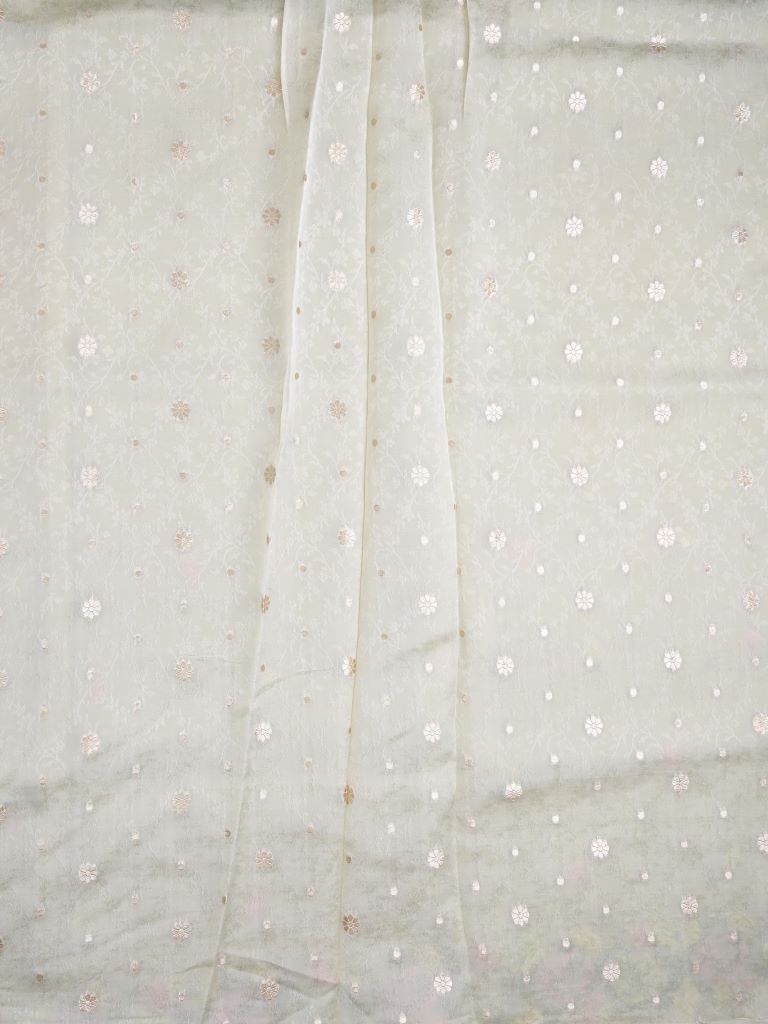 Soft organza fancy sarees light beige color allover floral motifs & embroidery border with running pallu and attached blouse