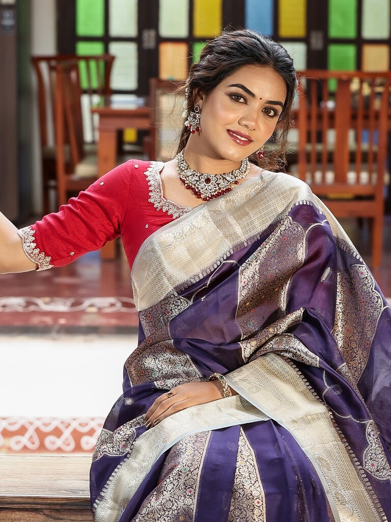 Green mango fancy saree for women | blue | zari border | party wear