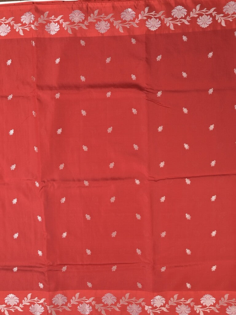 Raw mango fancy saree red color allover zari motifs & zari border with rich pallu and attached blouse