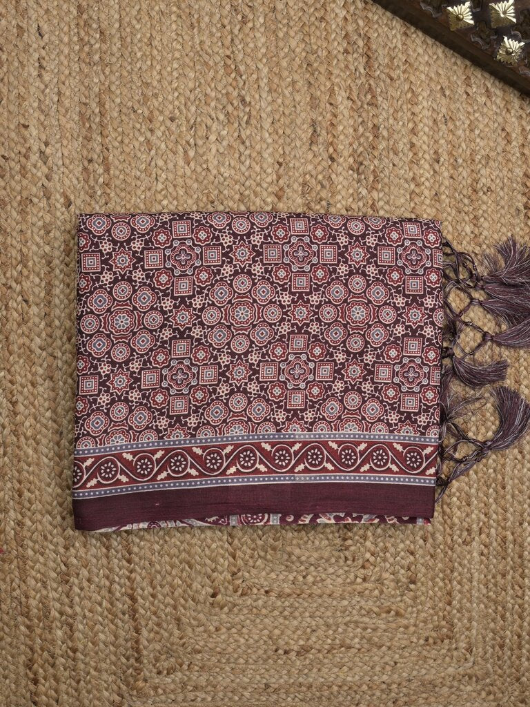 Tussar fancy printed saree with printed border and attached contrast blouse
