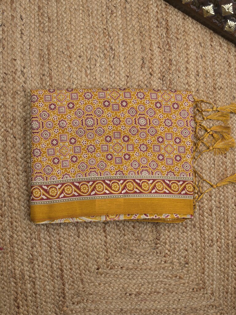 Tussar fancy printed saree with printed border and attached contrast blouse