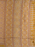Tussar fancy printed saree with printed border and attached contrast blouse