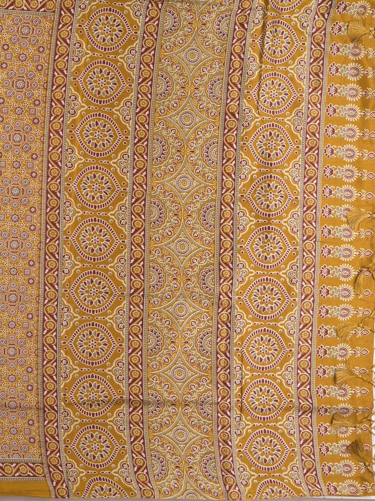 Tussar fancy printed saree with printed border and attached contrast blouse