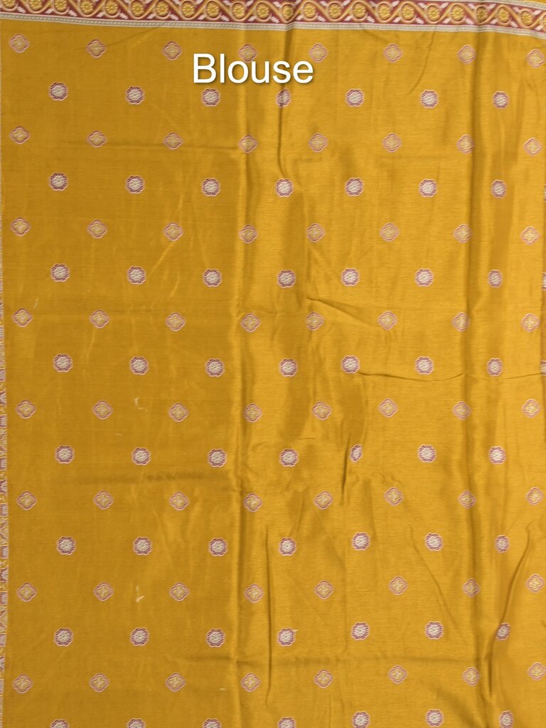 Tussar fancy printed saree with printed border and attached contrast blouse