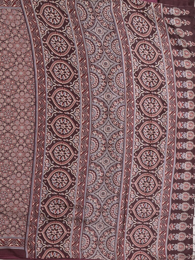 Tussar fancy printed saree with printed border and attached contrast blouse