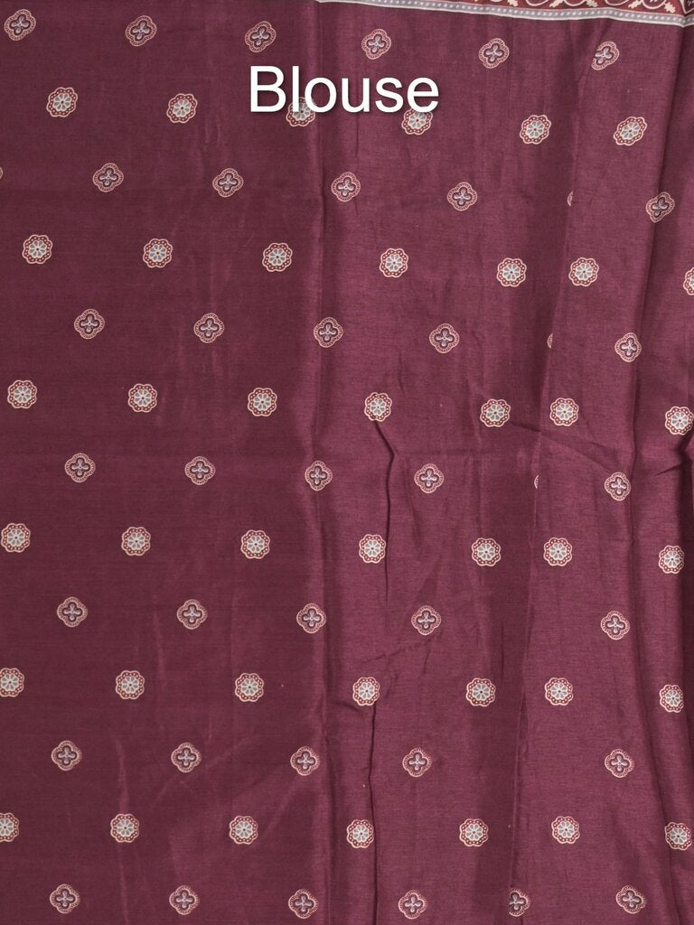 Tussar fancy printed saree with printed border and attached contrast blouse