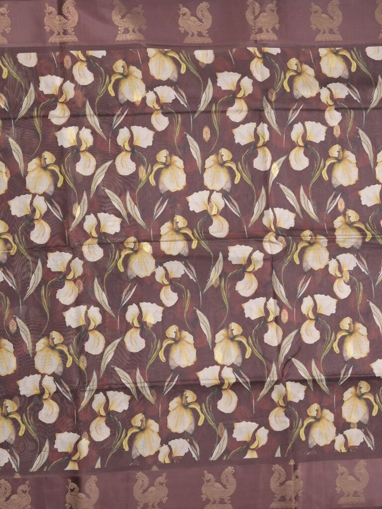 Tussar fancy saree brown color allover prints & weaving border with zari pallu and attached blouse