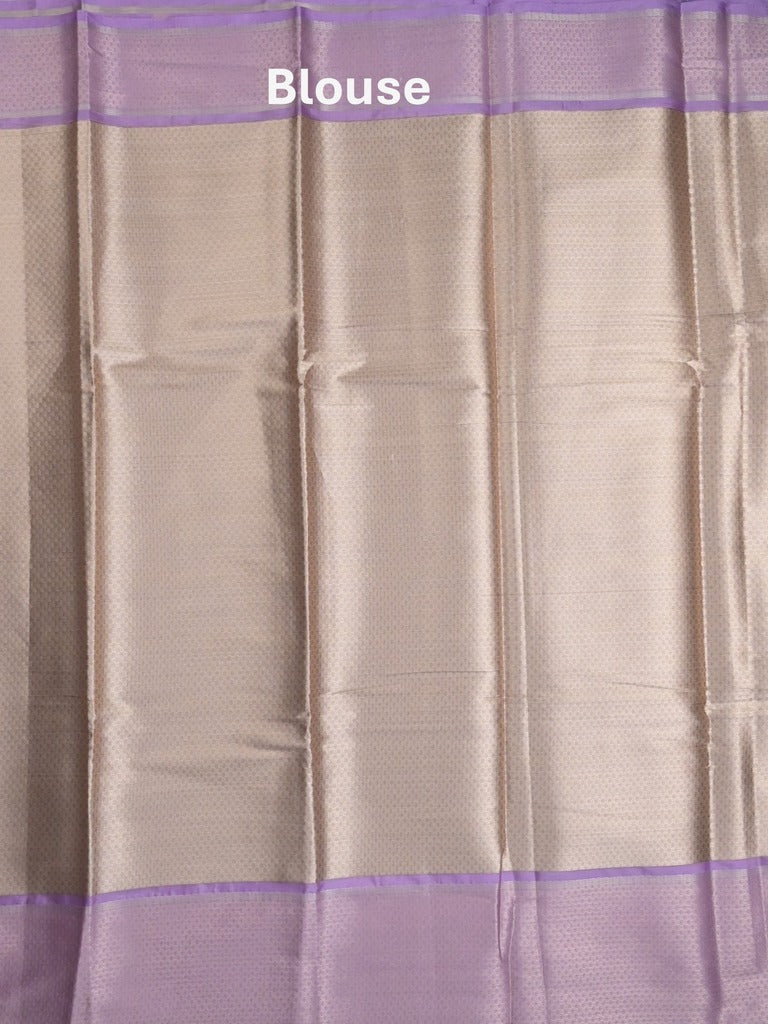 Tissue fancy saree light beige color allover weaves & contrast border with self pallu and attached blouse