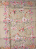 Dola tissue fancy sarees light cream color allover plain & embroidery border with printed pallu and printed blouse
