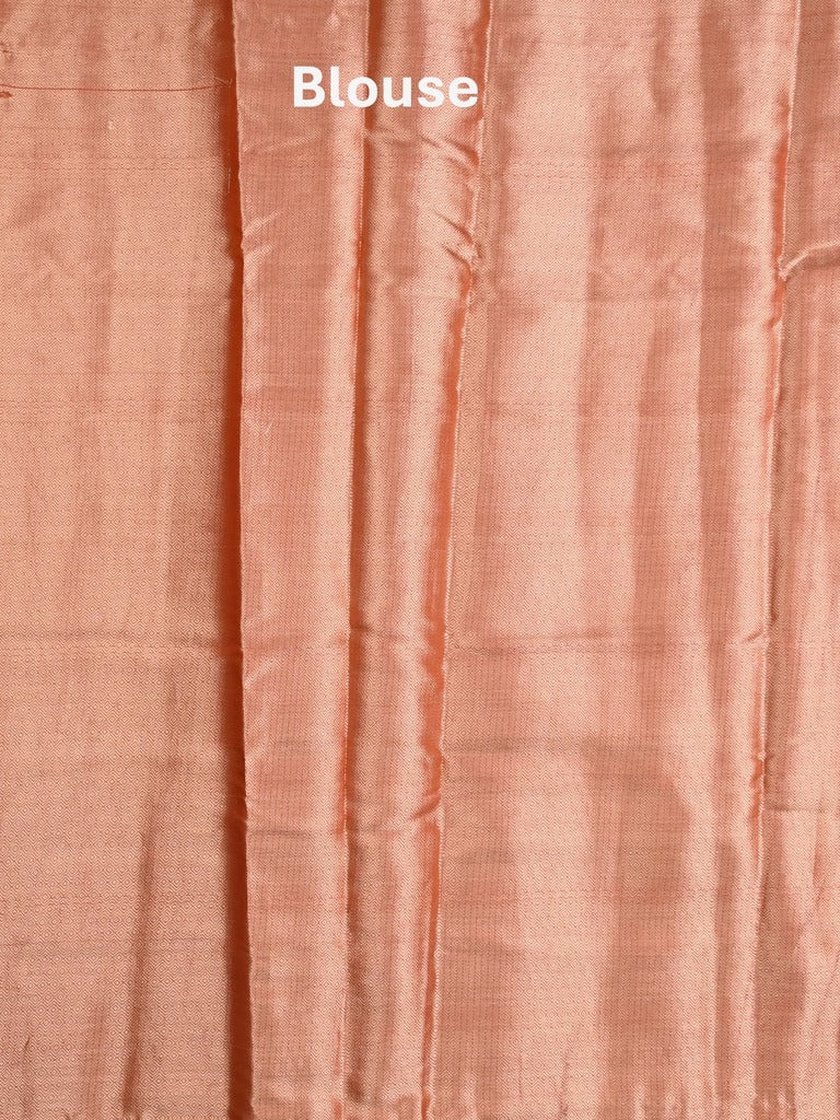 Raw mango fancy saree orange color allover zari motifs & zari border with zari pallu and brocade blouse