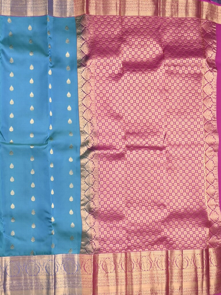 Kanchi pattu saree sky blue color allover zari motifs & kanchi border with rich pallu and contrast plain blouse