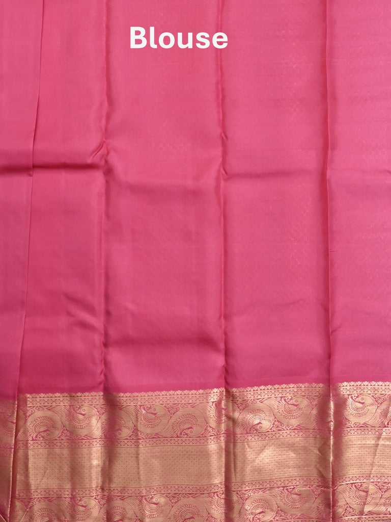 Kanchi pattu saree parrot green color allover zari weaves & kanchi border with rich pallu and contrast blouse