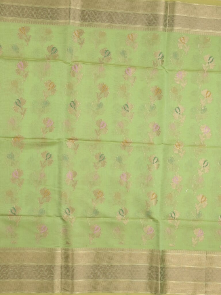 Chanderi fancy saree for women | light green | zari border | party wear