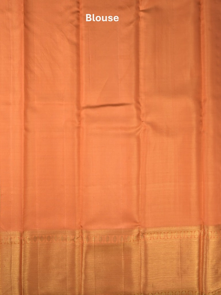Traditional bridal kanchi tissue pattu saree in purple color with allover rich zari weaves