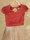 Banaras Tissue Lehenga set with Intricate Zari Detailing 4-5 years