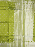 Raw mango fancy saree parrot green color allover zari motifs & zari border with zari pallu and attached self blouse