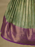 Banaras Tissue Lehenga set with Intricate Zari Detailing 4-5 years