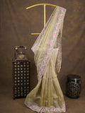 Tissue crush fancy saree light olive green color allover plain & embroidery border with running pallu and printed blouse