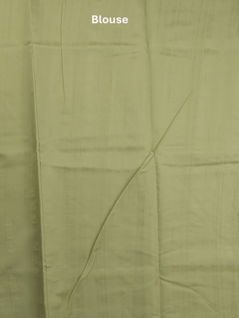Tussar fancy saree in light green color allover embroidery & zari border with self pallu and plain blouse
