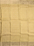 Tabby silk fancy saree beige color allover zari motifs & zari border with rich pallu and plain blouse