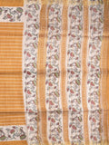 Tussar fancy saree with allover stripes and printed border with attached plain blouse