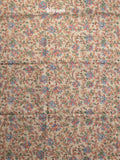 Tussar printed fancy saree with printed border and printed blouse