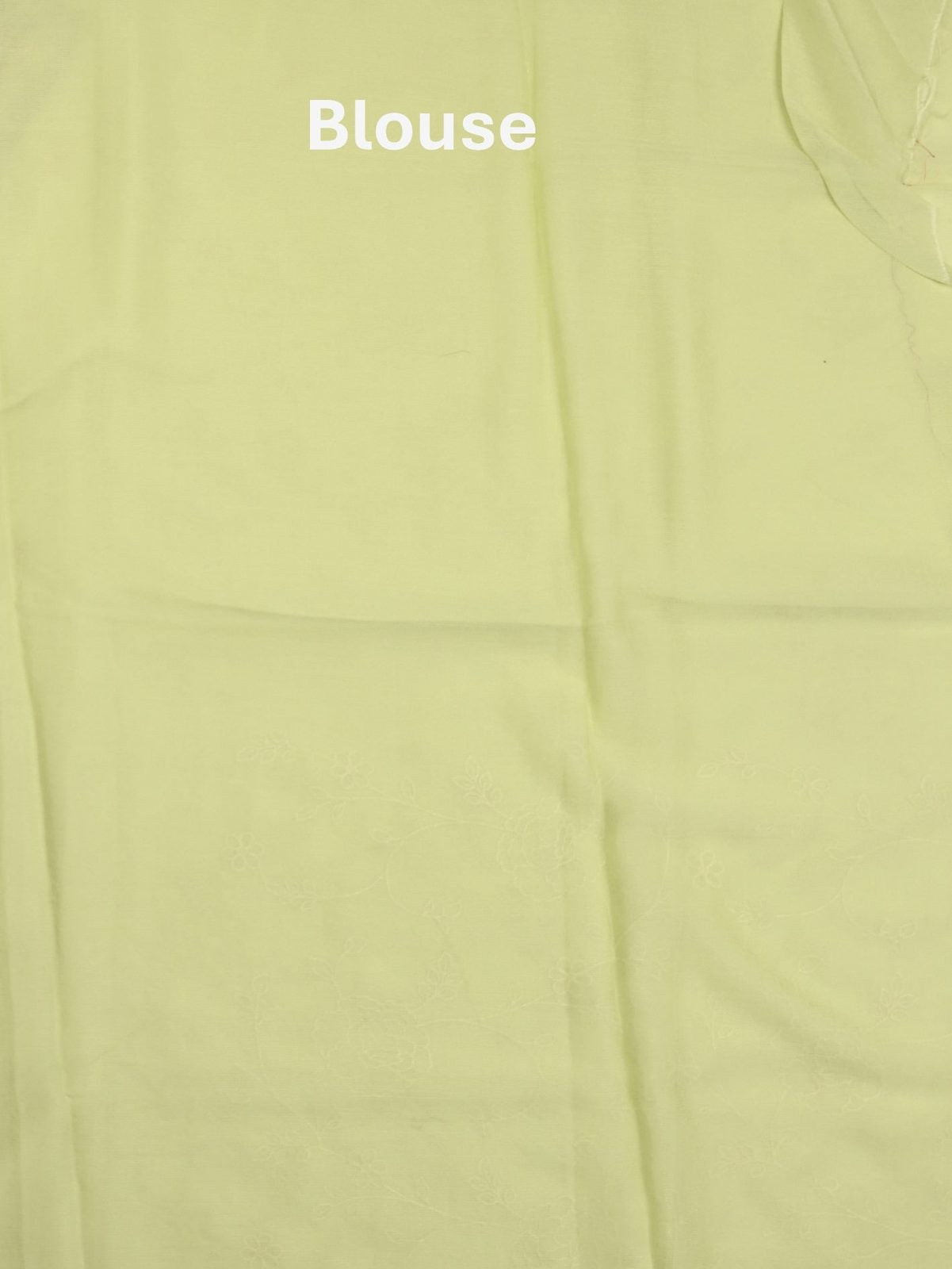 Chiffon fancy saree light green color allover embroidery & embroidery border with running pallu and plain blouse