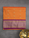Narayanpet pattu saree allover zari motifs with paithani pallu and contrast blouse