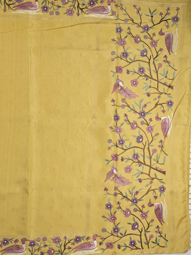 Tussar fancy saree with embroidery border and attached plain blouse