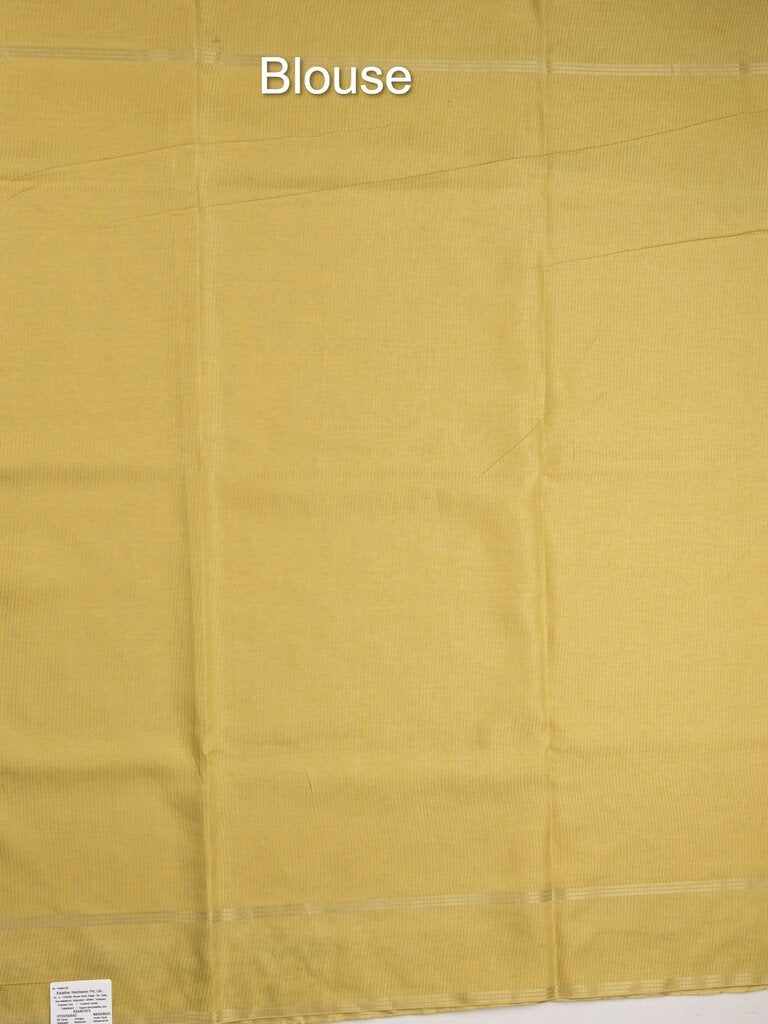 Tussar fancy saree with embroidery border and attached plain blouse