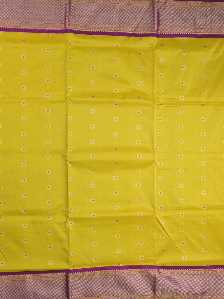Narayanpet pattu saree allover zari motifs with paithani pallu and contrast blouse