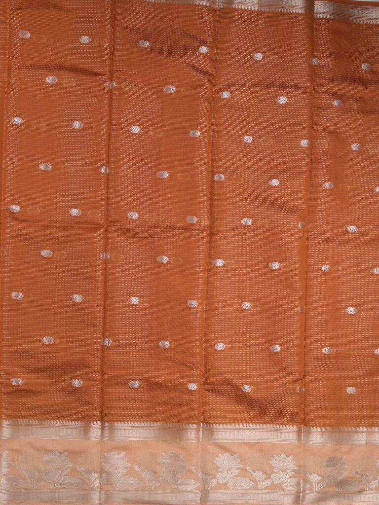 Dupion fancy saree allover zari motifs and zari border with contrast blouse