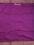 Narayanpet pattu saree allover zari motifs with paithani pallu and contrast blouse