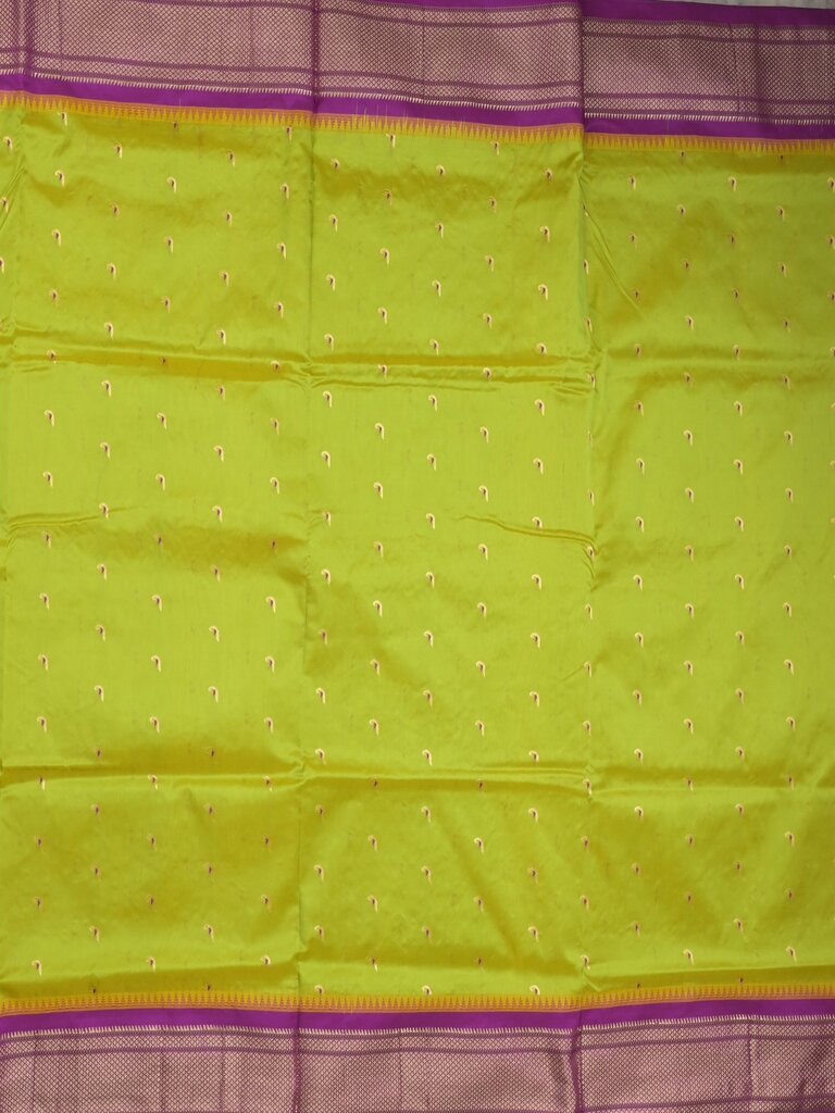 Narayanpet pattu saree allover zari motifs with paithani pallu and contrast blouse