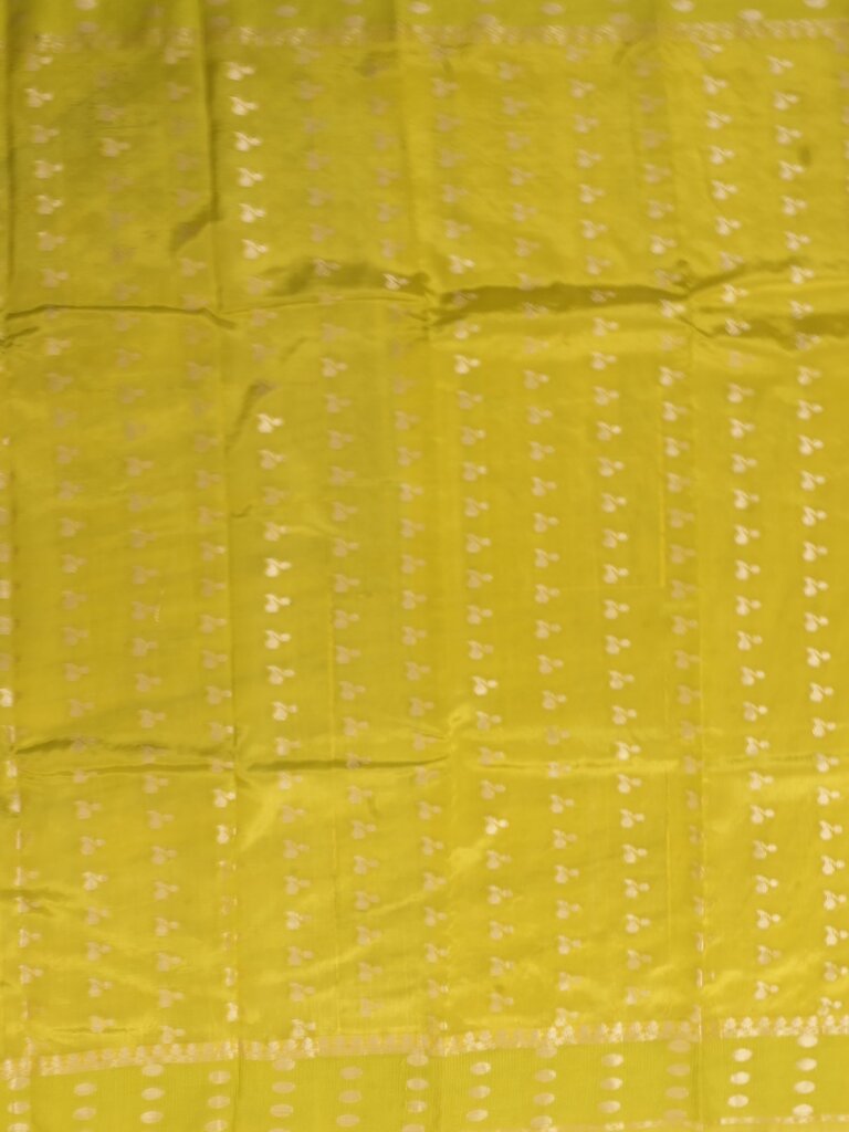 Green mango fancy saree for women | violet | zari border | contrast blouse | party wear