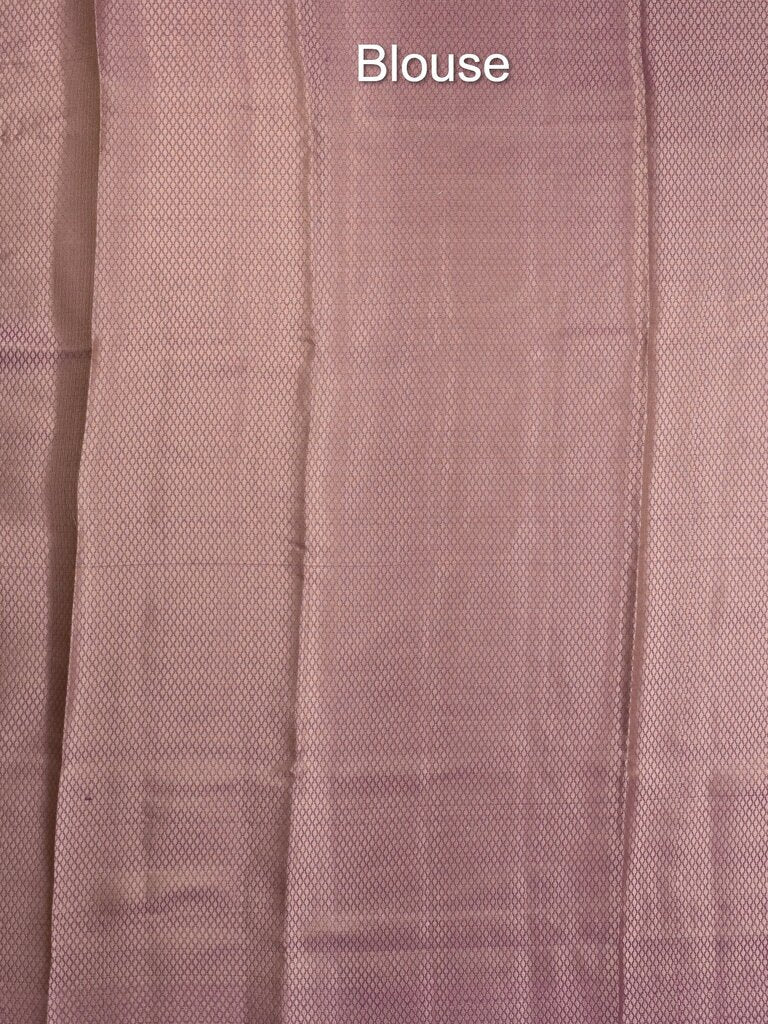 Organza tissue fancy saree allover zari weaves & zari border with self pallu and plain tissue blouse