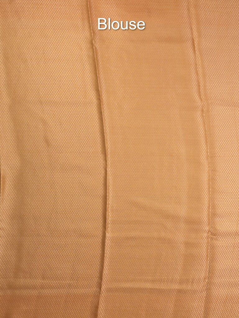 Organza tissue fancy saree allover zari weaves & zari border with self pallu and plain tissue blouse