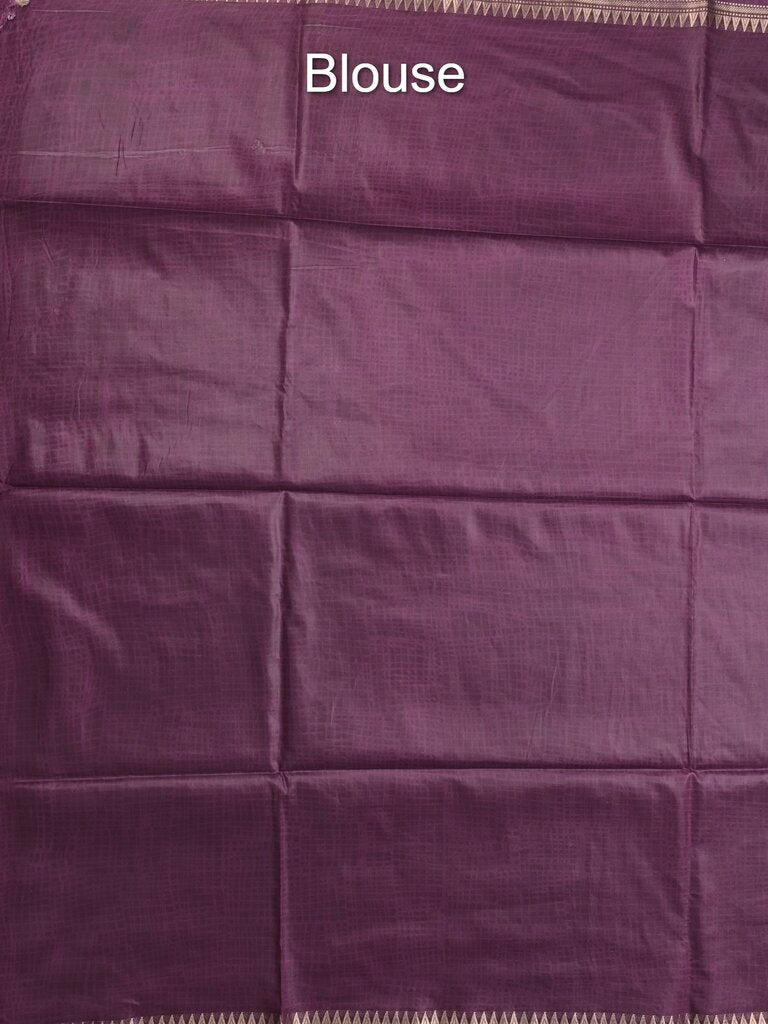 Tussar printed fancy saree with small zari border with printed pallu and plain blouse