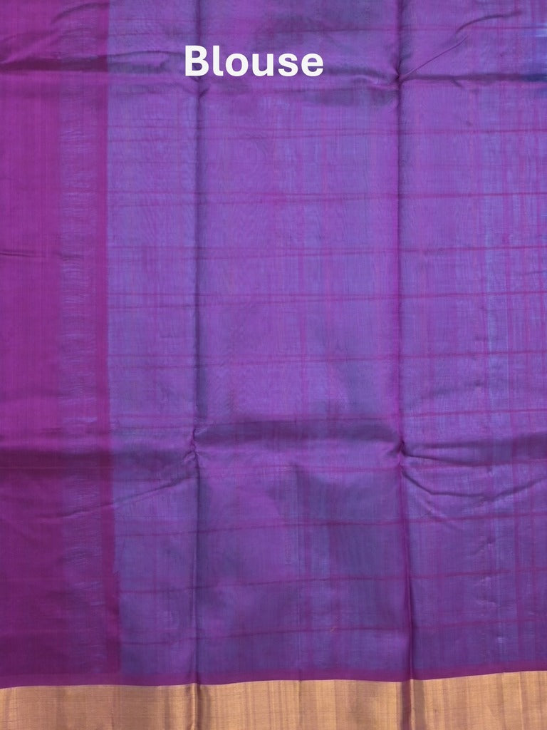 Uppada seiko pattu saree sky blue color allover checks, motifs & zari border with contrast pallu and plain blouse