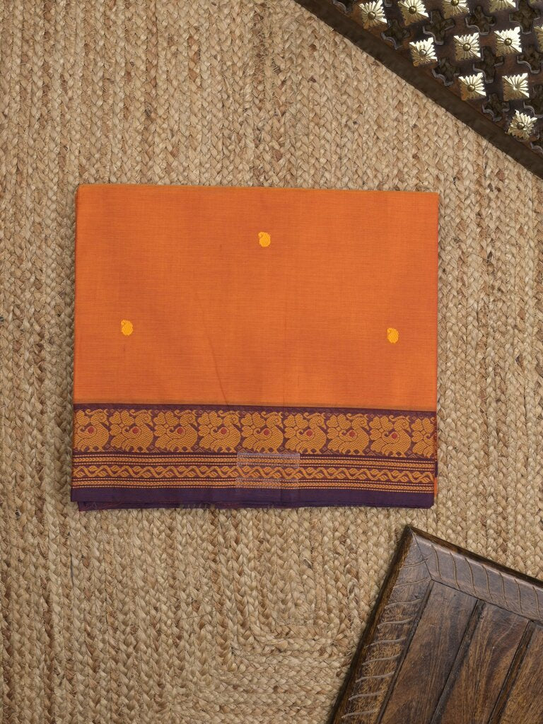 Kanchi cotton saree allover motifs with contrast border and attached self blouse